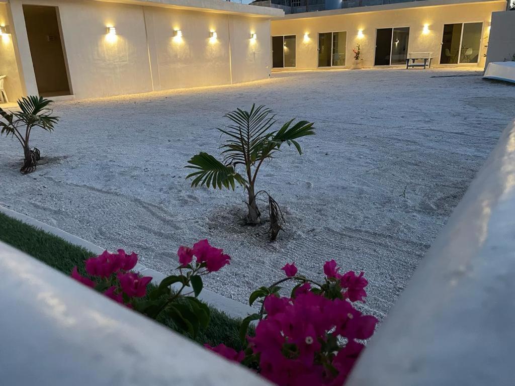 Palomar Villas Rio Lagartos Exterior photo